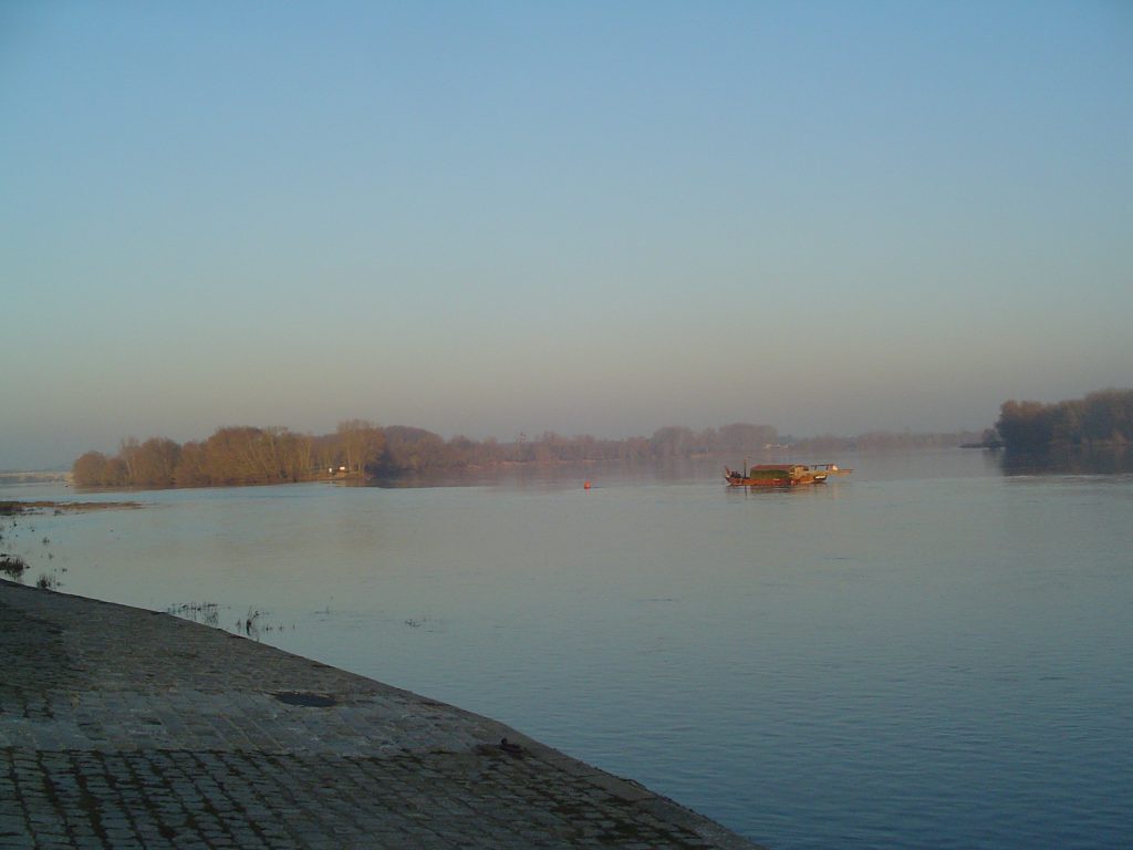 Bouchemaine (La Pointe), La Maine (à gauche) et la Loire (à droite)